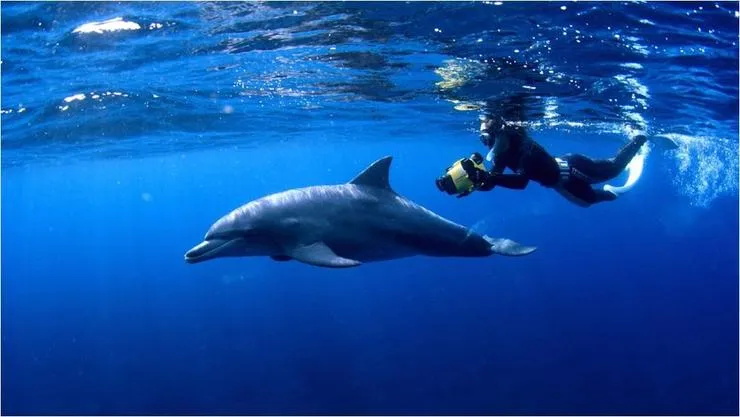 GPT-4o深度体验10大场景!可能ComfyUI工作流真不用学了